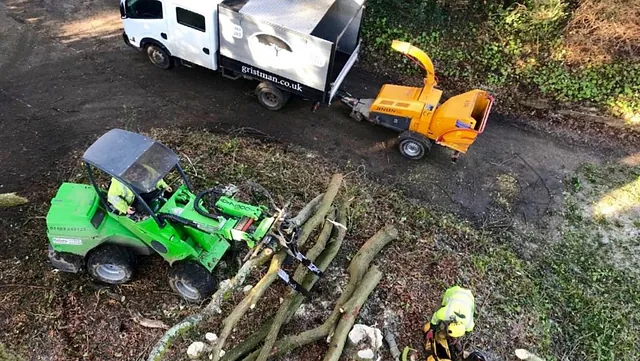 Tree Surgery 