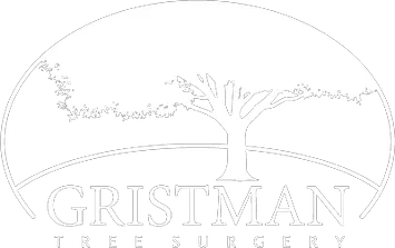 Gristman Tree Surgery - Local Tree Surgeons