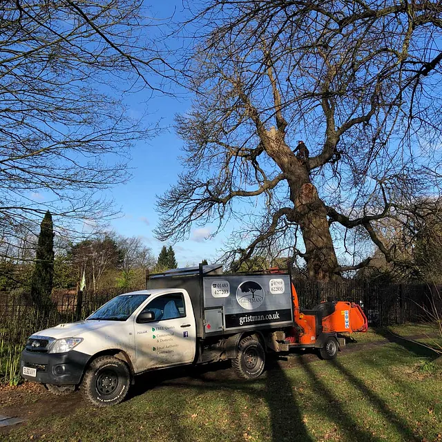 Commercial Tree Felling Experts 