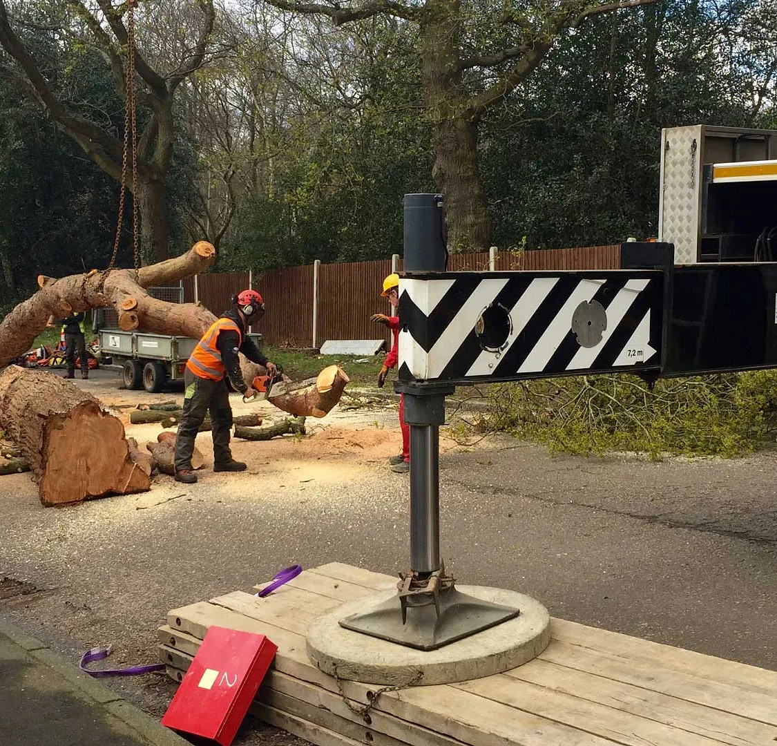 Outstanding Tree Surgery 