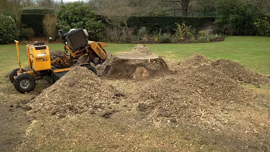 Tree stump removal