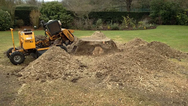 Stump removal