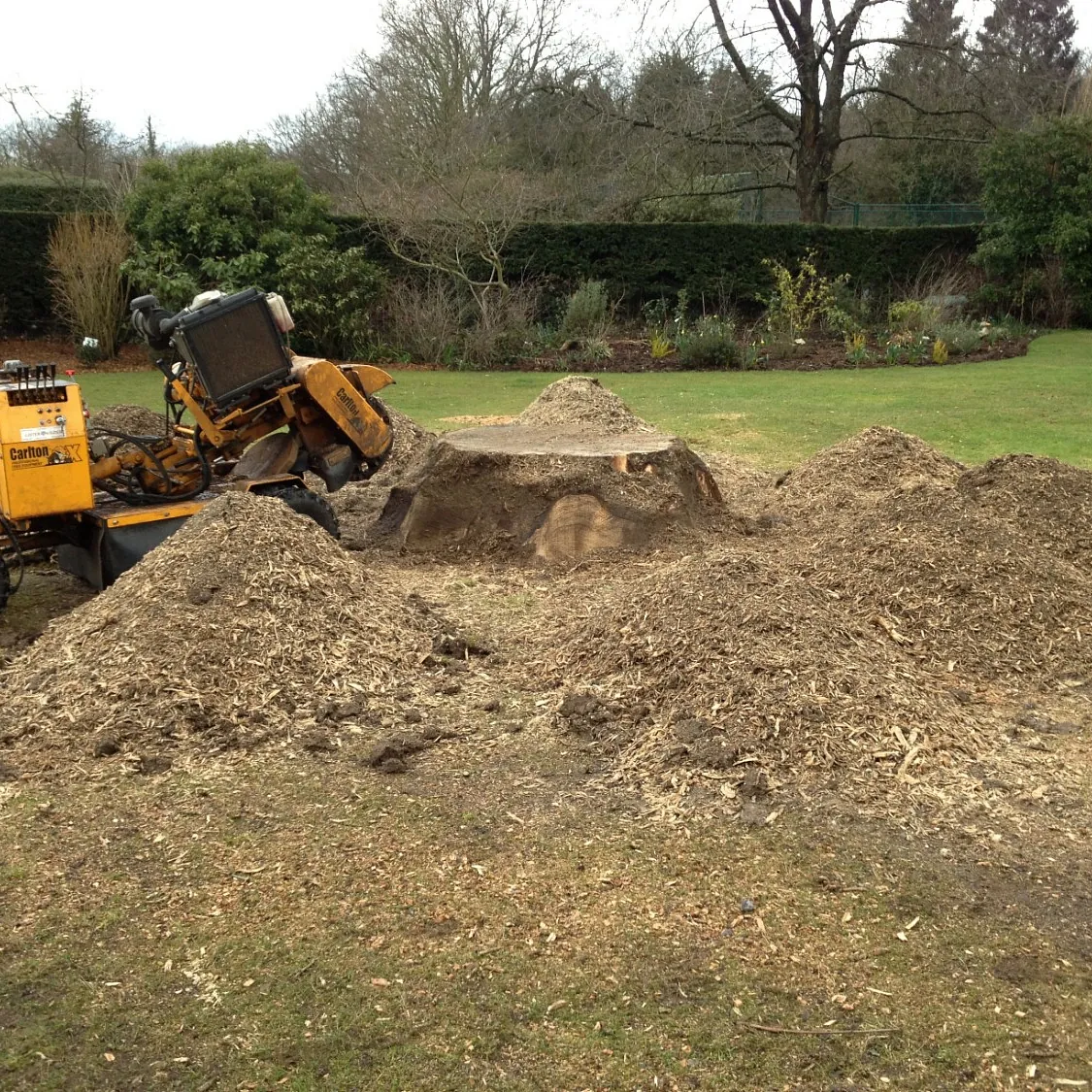 From tree surgery to soil testing