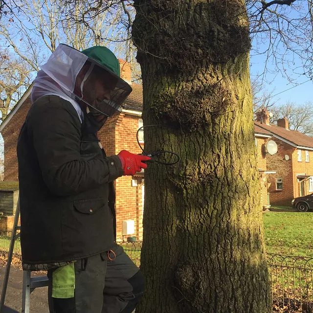 Commercial Tree Felling Experts 