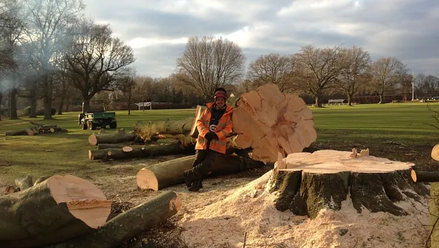 A man stood next to a large tree