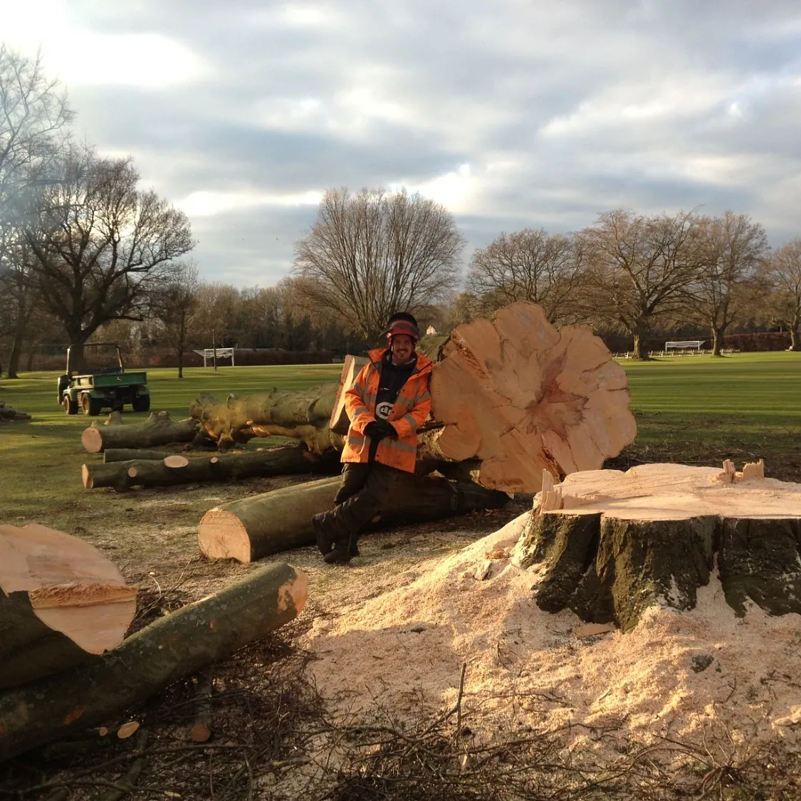 From tree surgery to soil testing