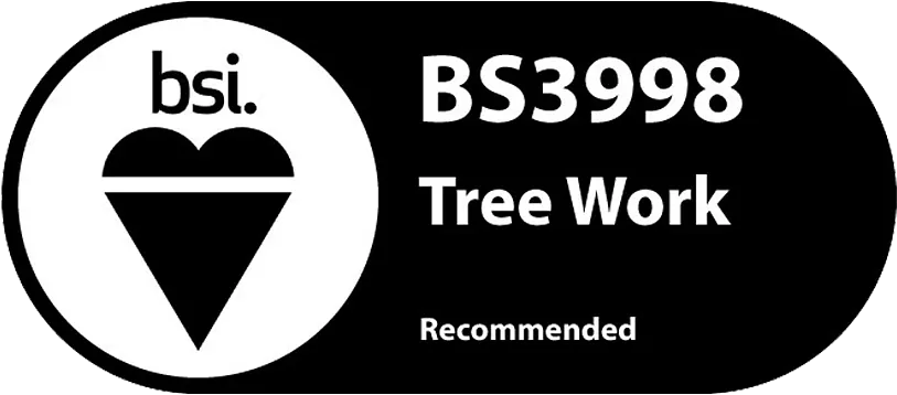 BS3998 Tree Work Guildford