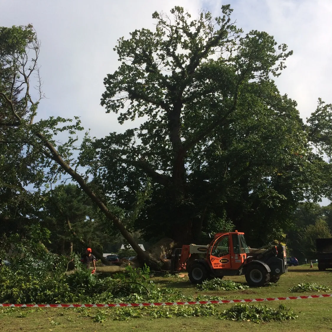 Outstanding Tree Surgery 