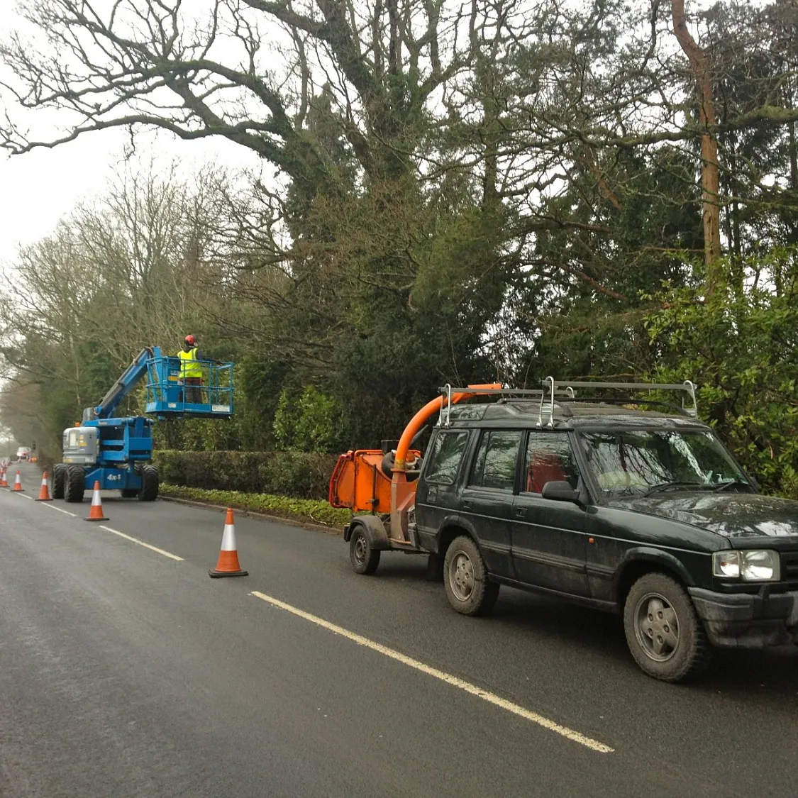 From tree surgery to soil testing