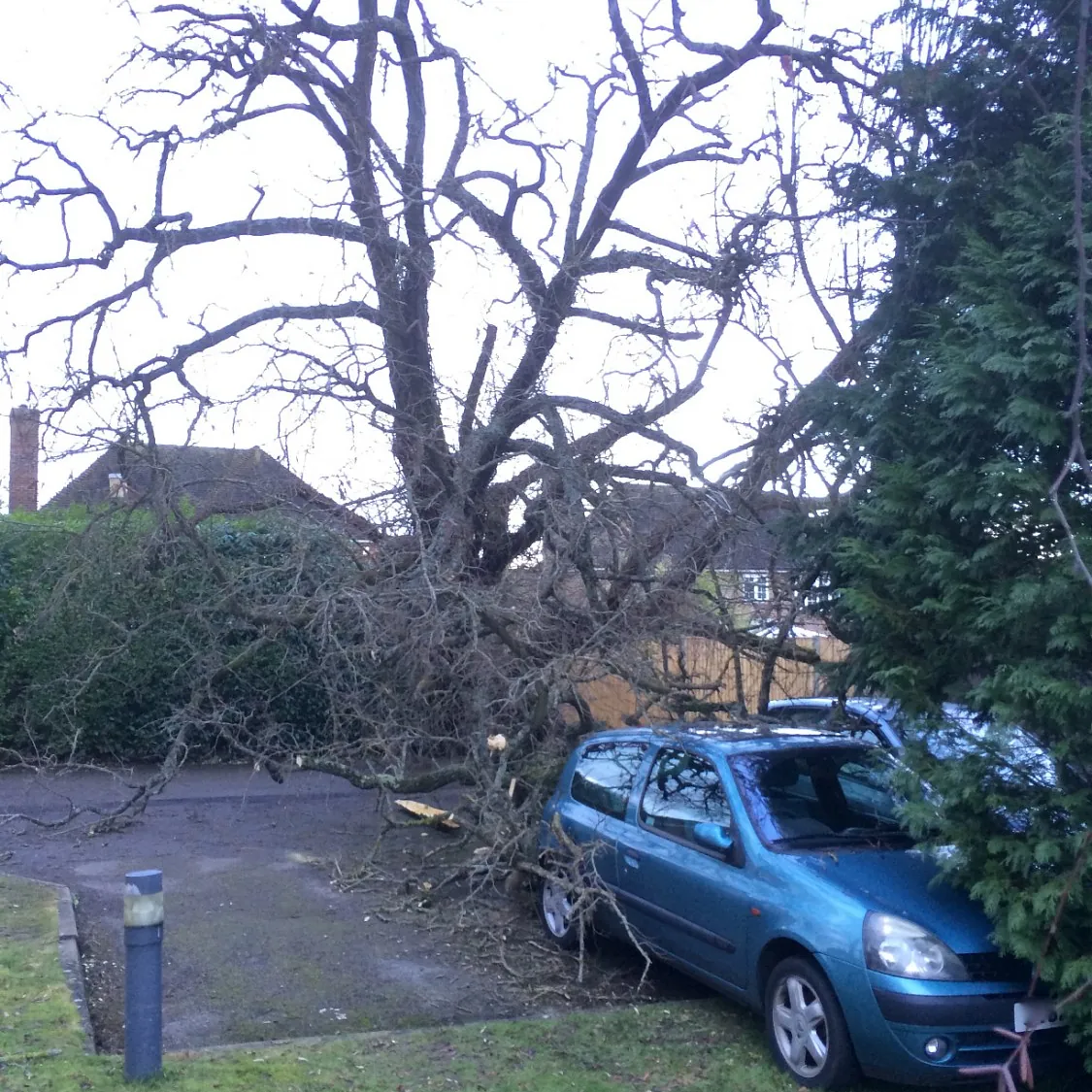 Outstanding Tree Surgery 